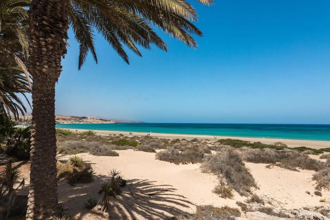Home2Book Aloha Palm Costa Calma Spain