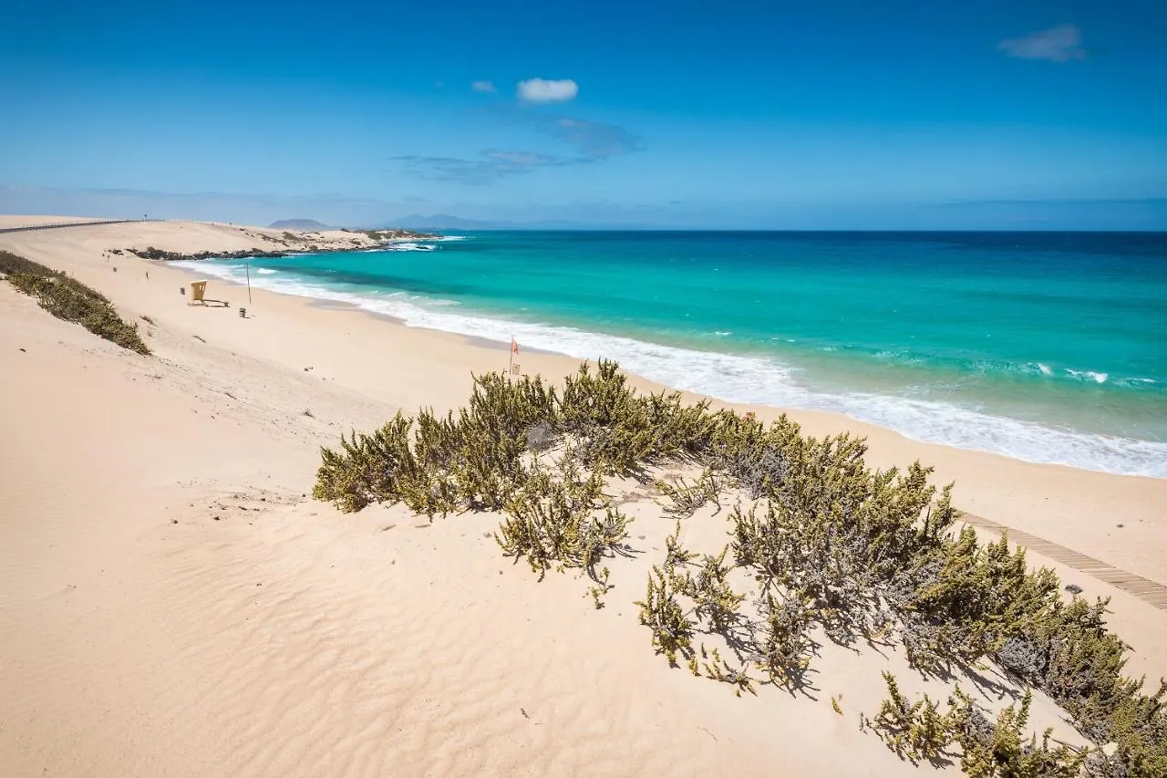 Home2Book Aloha Palm Costa Calma Apartment